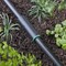 Raindrip Raindrip 1/2 x 5/8 in. Compression Drip Irrigation Coupler 1 pk 352G00UB - alternate 1